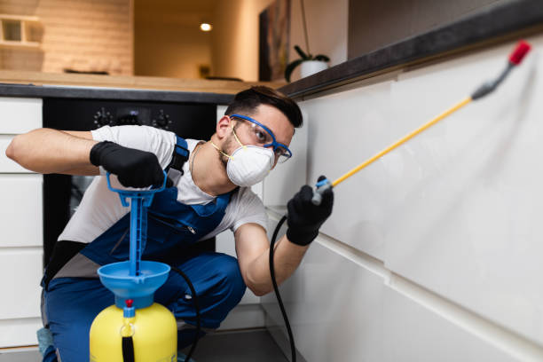 Best Residential Pest Control  in Chesaning, MI