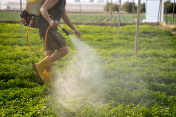 Pest Prevention Services in Chesaning, MI