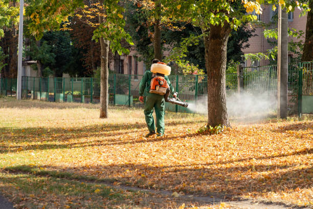 Best Commercial Pest Control Services  in Chesaning, MI