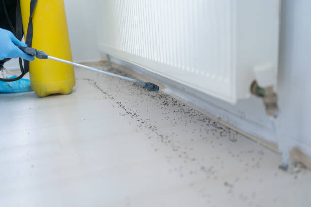 Best Best Pest Control Companies  in Chesaning, MI