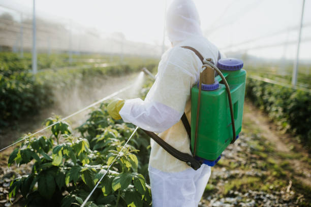 Chesaning, MI Pest Control Pros